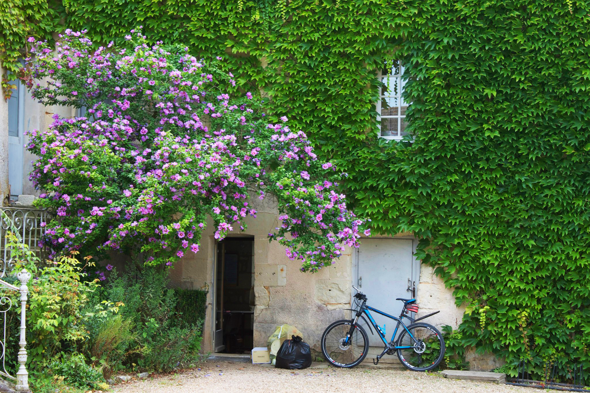 Chinon, FRANCE