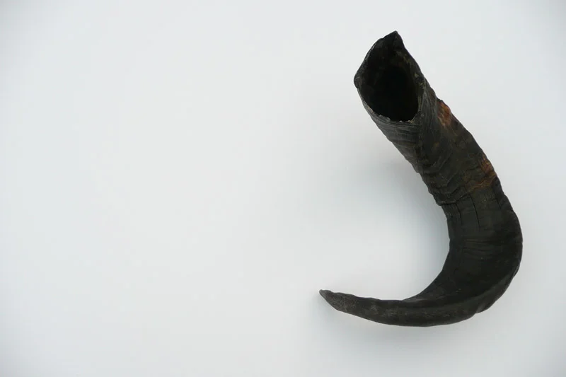 4_26majhorn-582.jpg