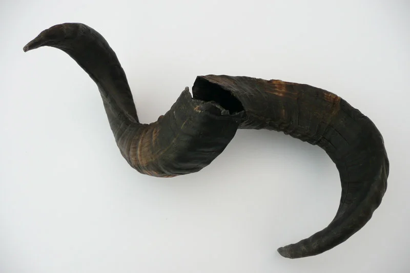 4_26majhorn-592.jpg
