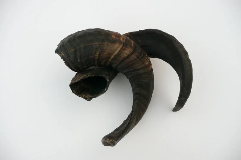 4_26majhorn-619.jpg