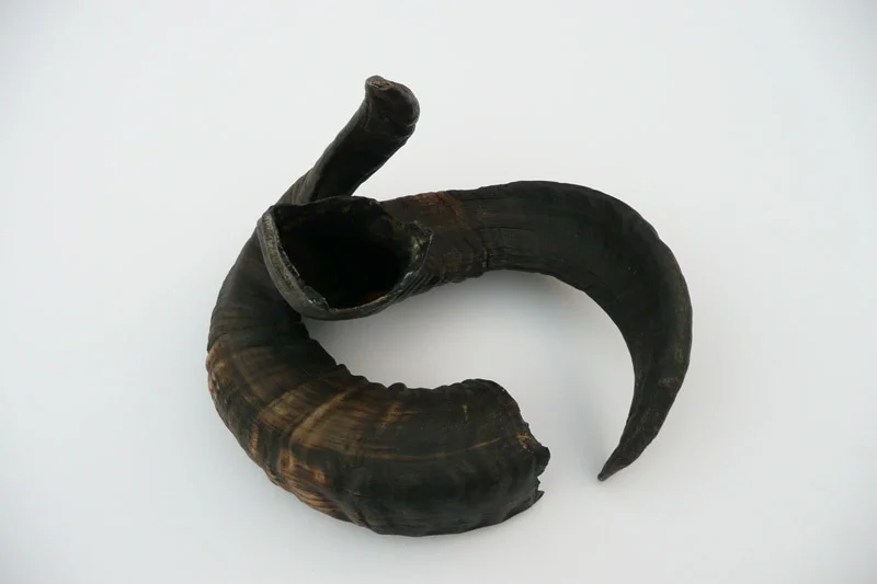 4_26majhorn-631.jpg
