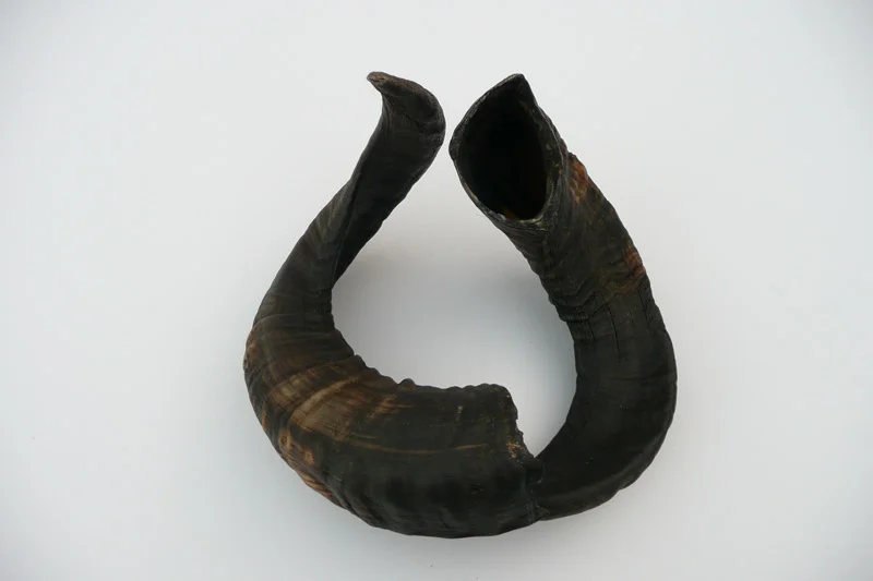 4_26majhorn-640.jpg