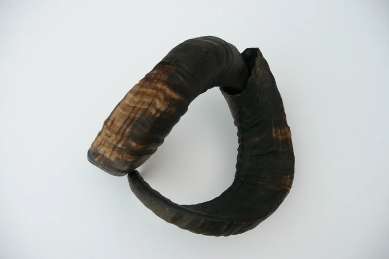 4_26majhorn-742.jpg