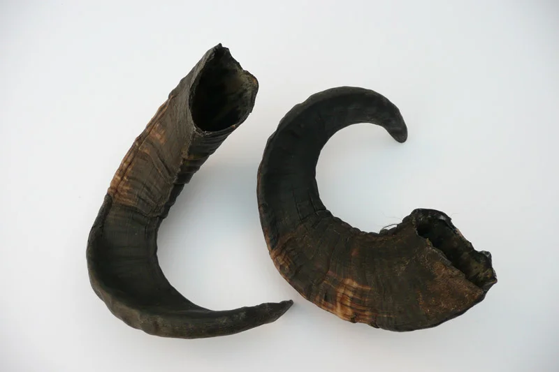 4_26majhorn-832.jpg