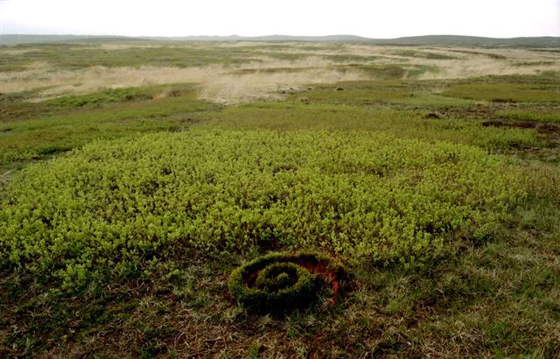 20_spiral-pa-heden.jpg