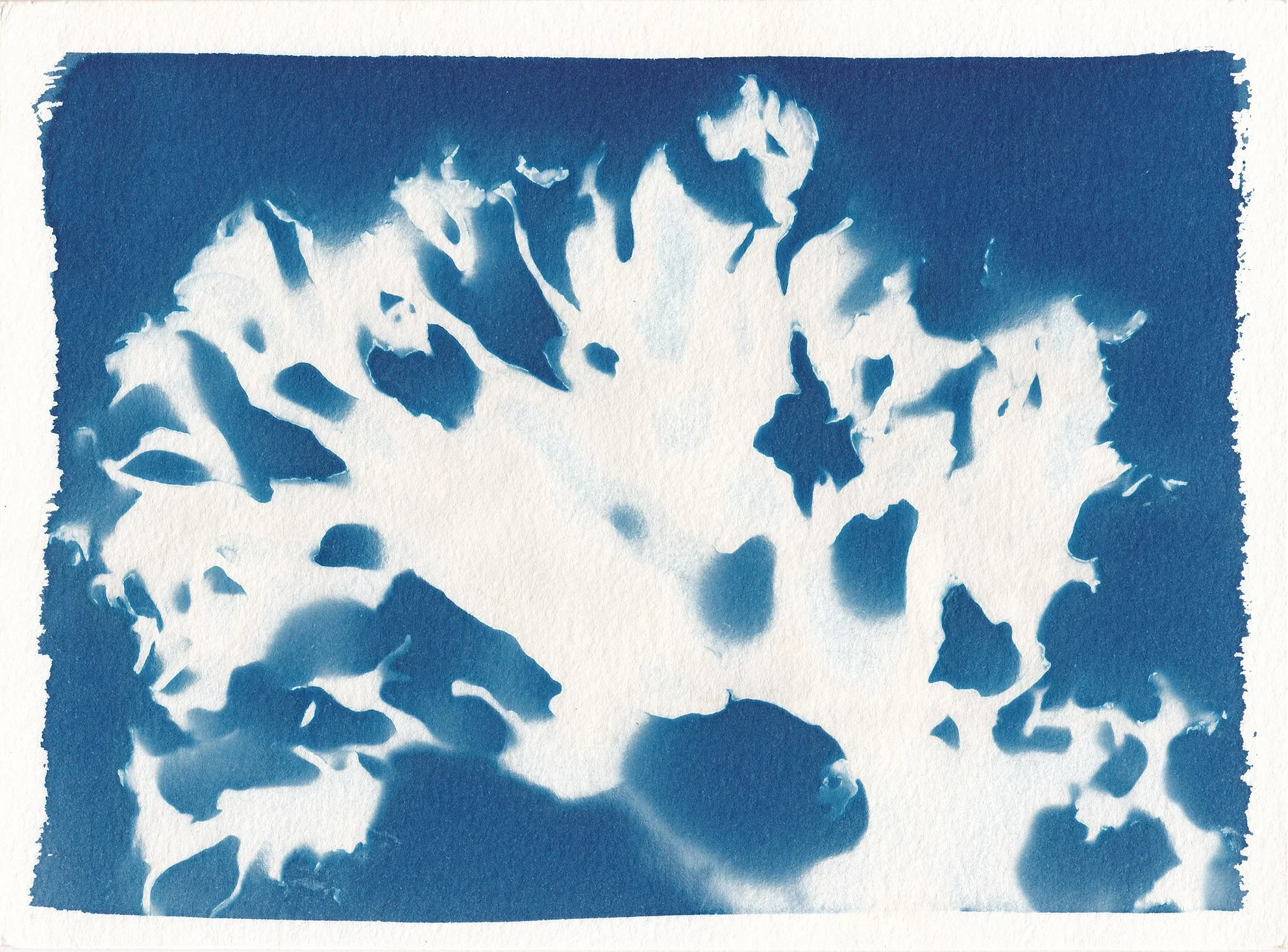 SCN_0003.jpg