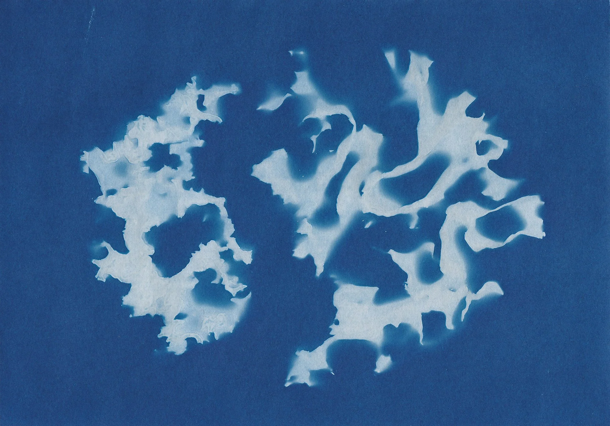 SCN_0006.jpg