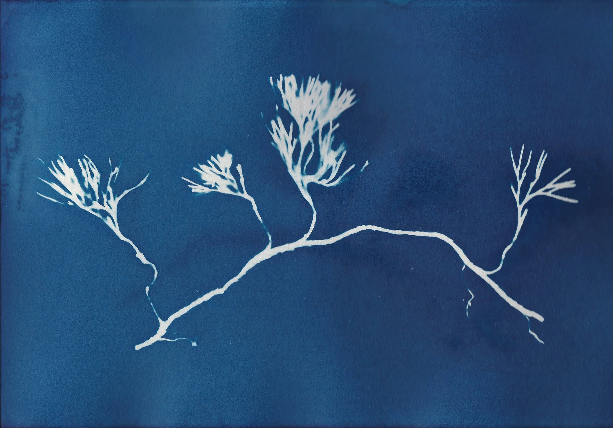 SCN_0024.jpg