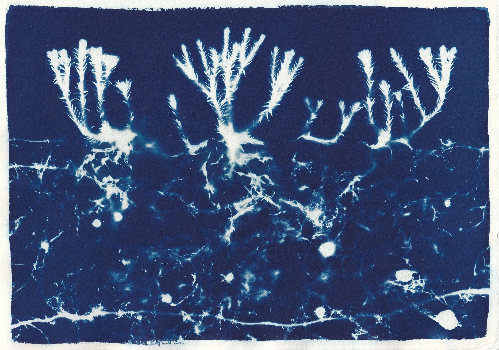 SCN_0022.jpg