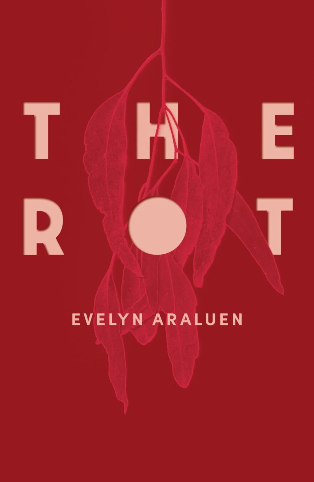 TheRot_Cover_FINAL_UPDATE_9780702268960_RGB.jpg
