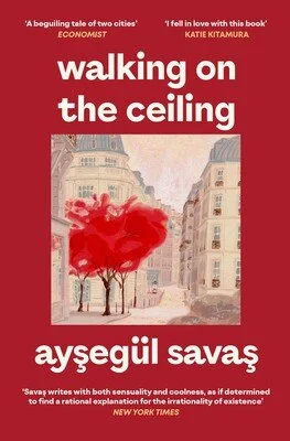 walking-on-the-ceiling-9781398562271_lg.jpg