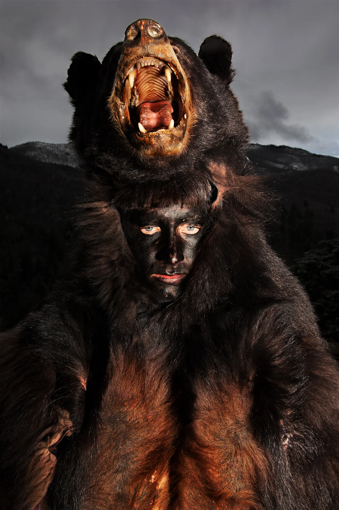 The Bear, Sant Llorenç de Cerdans, French Catalonia, Febraury 2016.