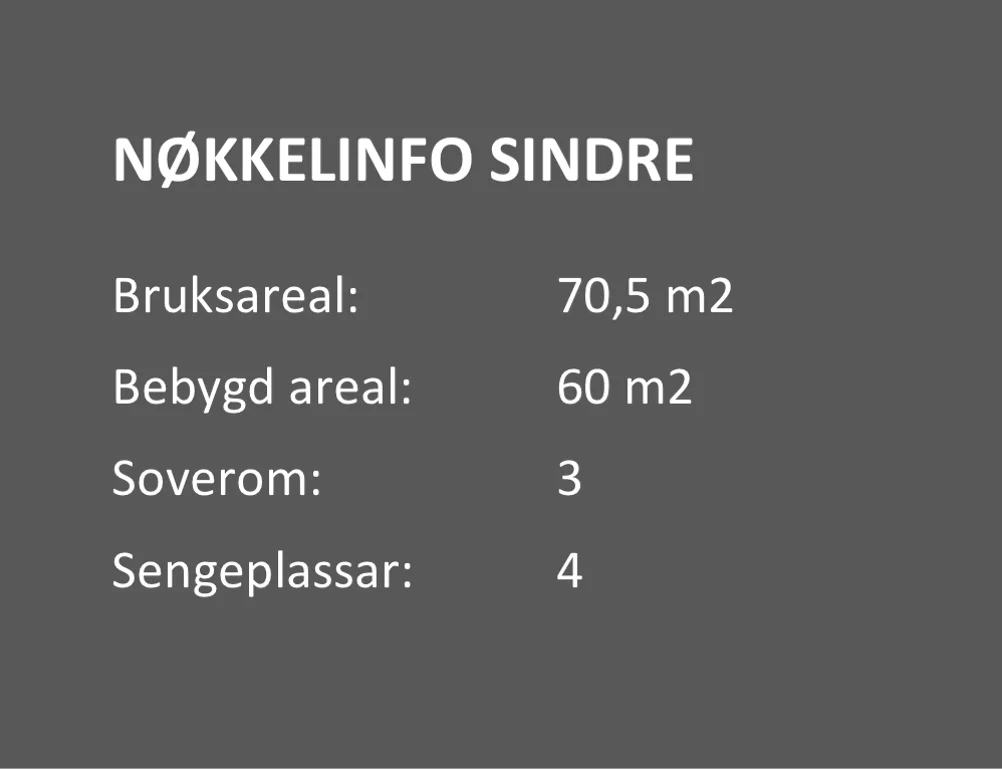 Sindre nøkkelinfo.jpg