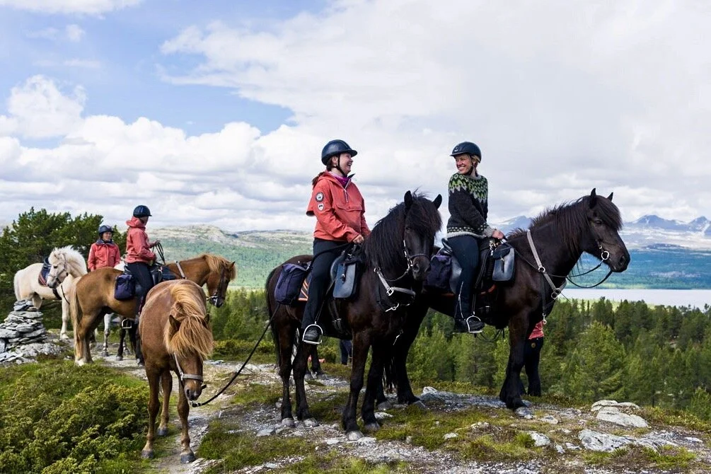 Ridetur fra Hjerkinn til Rondaståk juni 2020 — Hjerkinn Fjellstue og ...