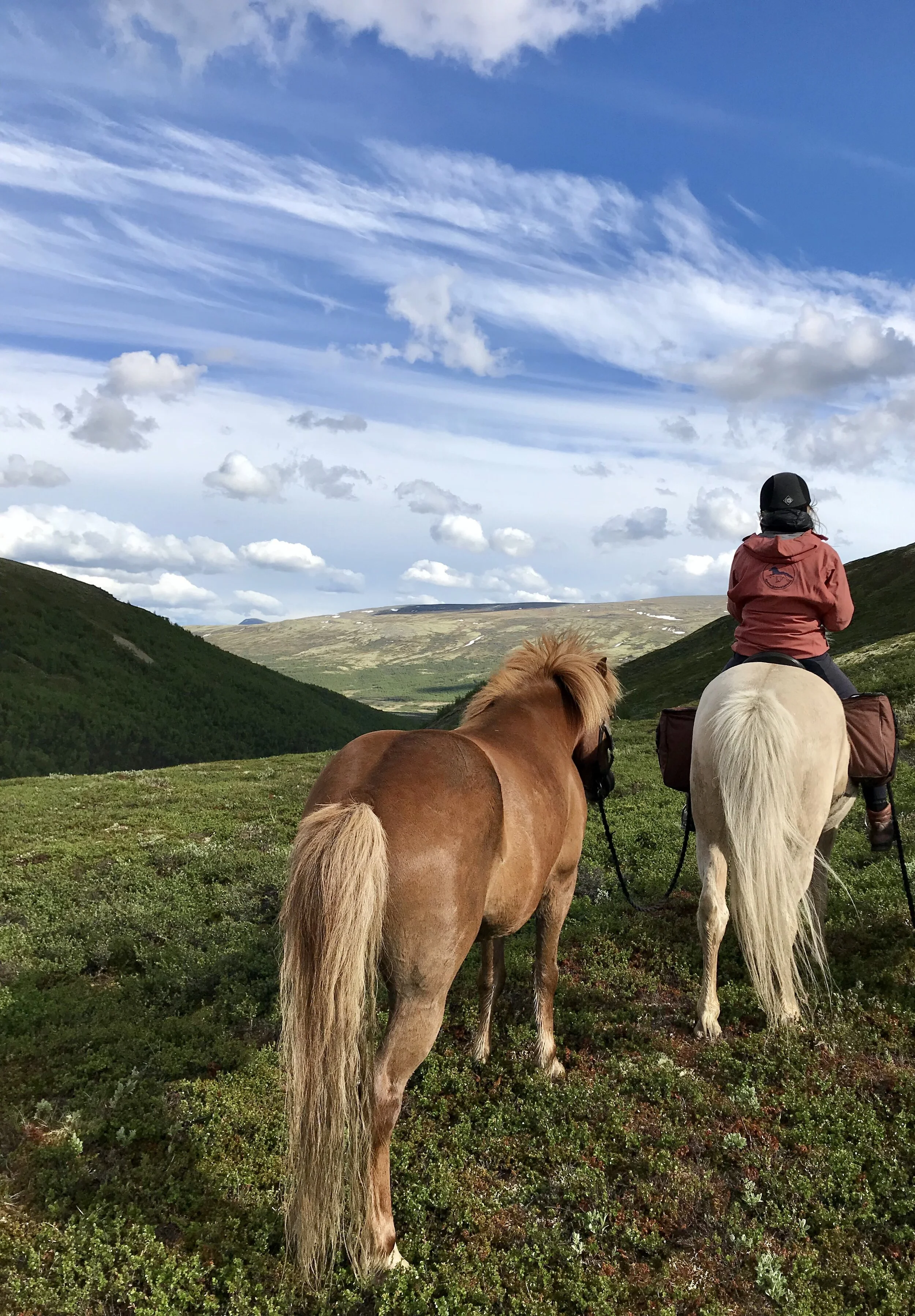 Med islandshest langs Gamle Kongevei - langtur sommeren 2023