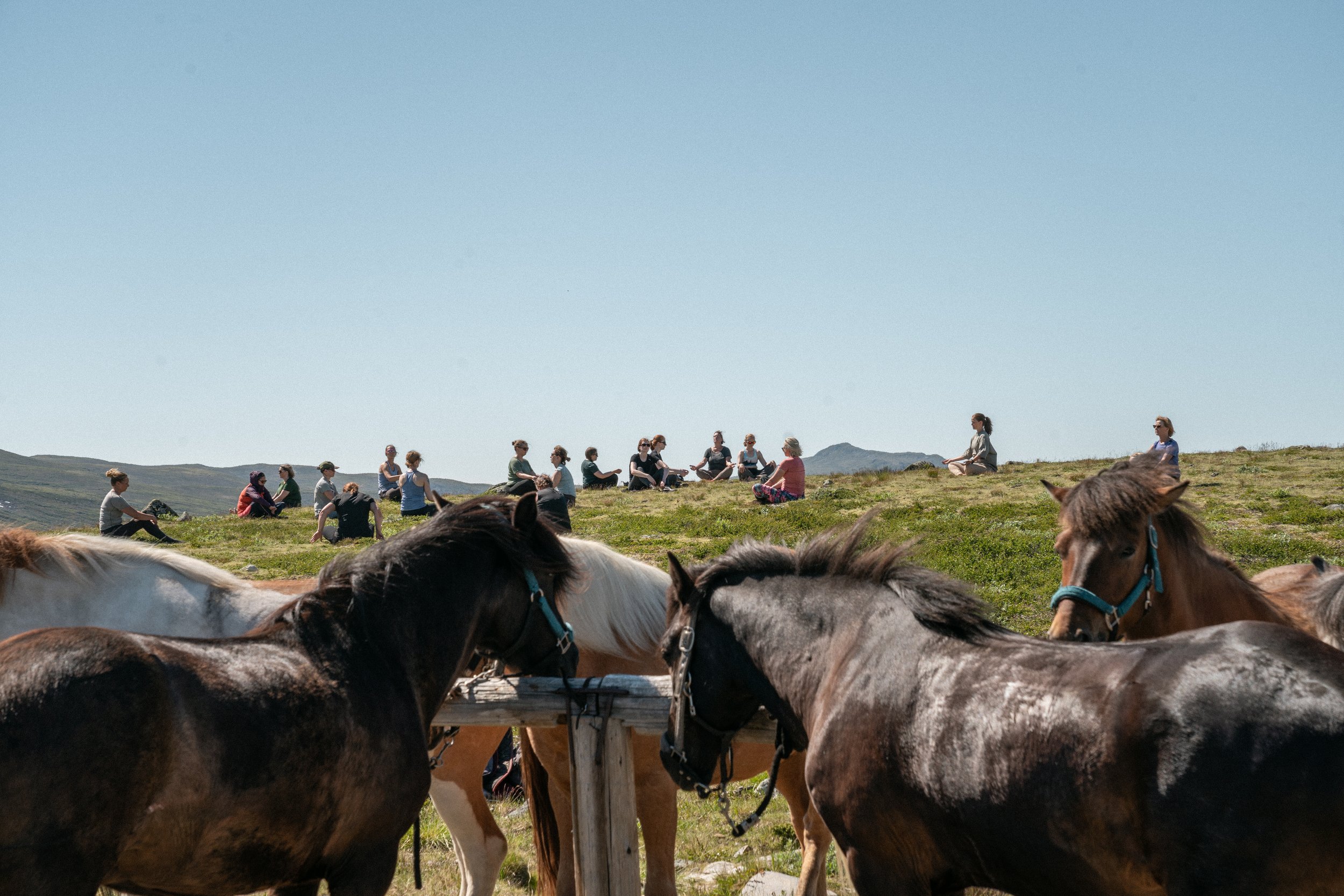 Yoga- og ridehelg 2024