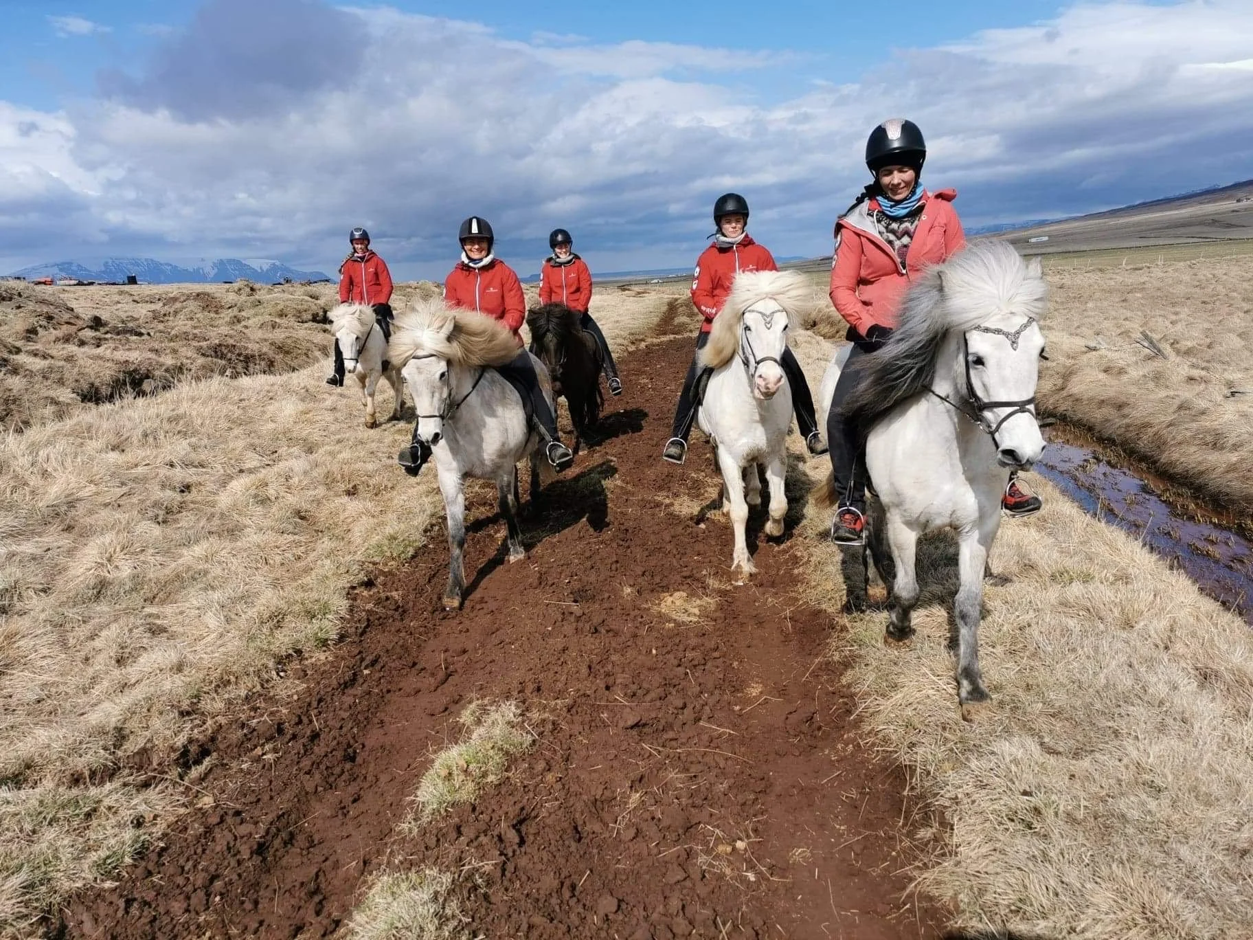 Fire takter over fjellet