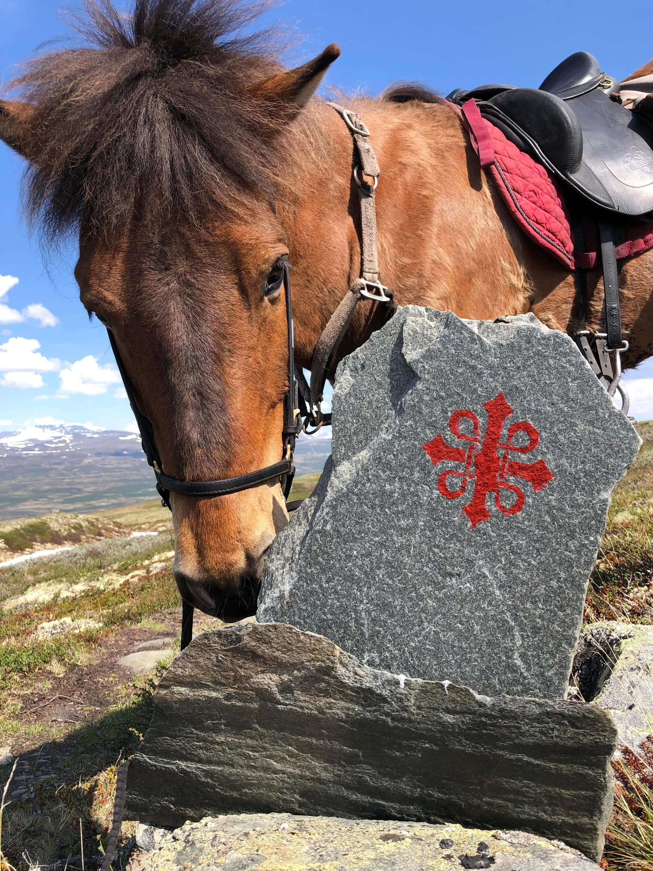 Med islandshest langs Gamle Kongevei - langtur sommeren 2024