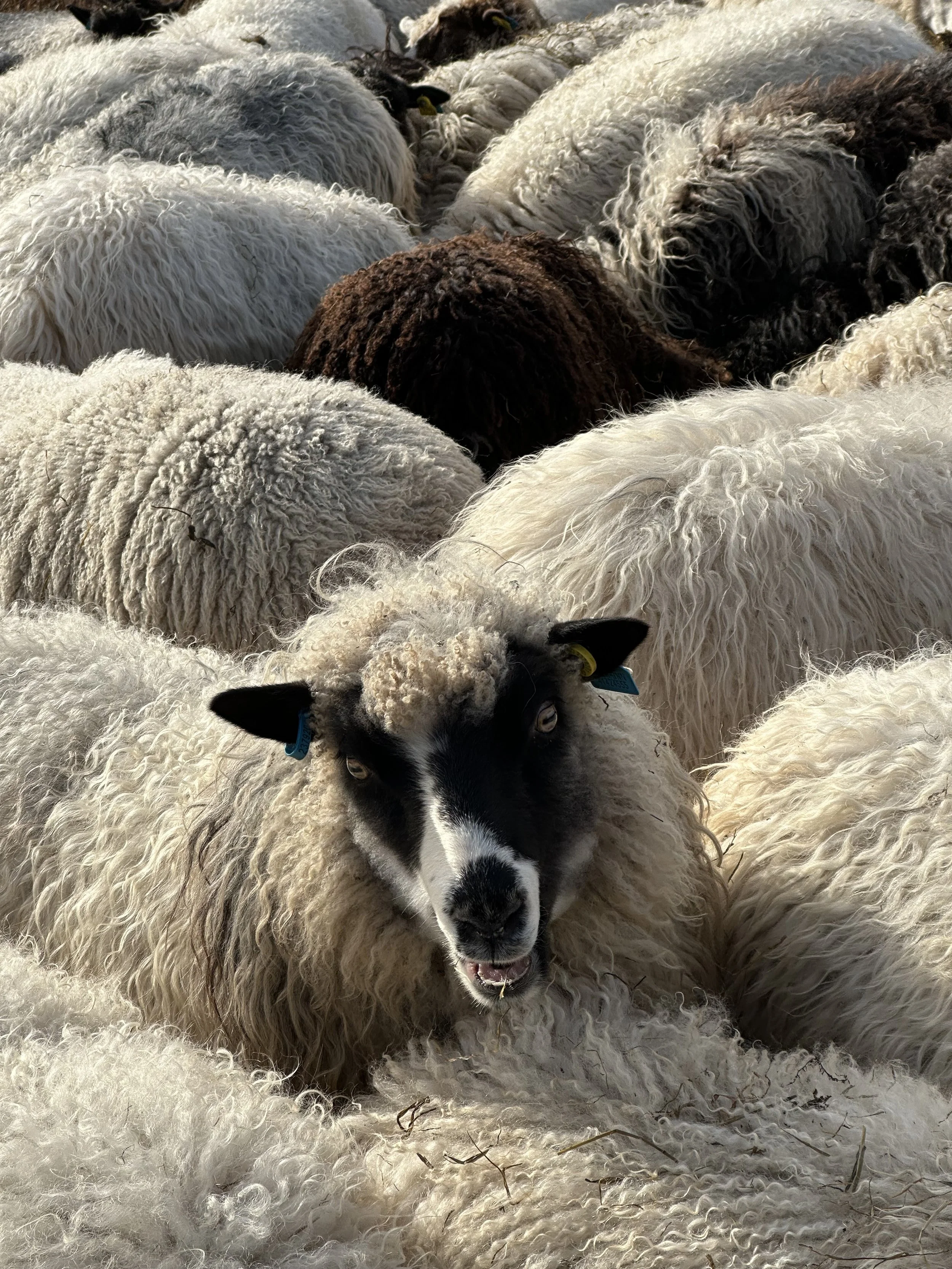 Vi har startet arbeidet med miljøsertifisering