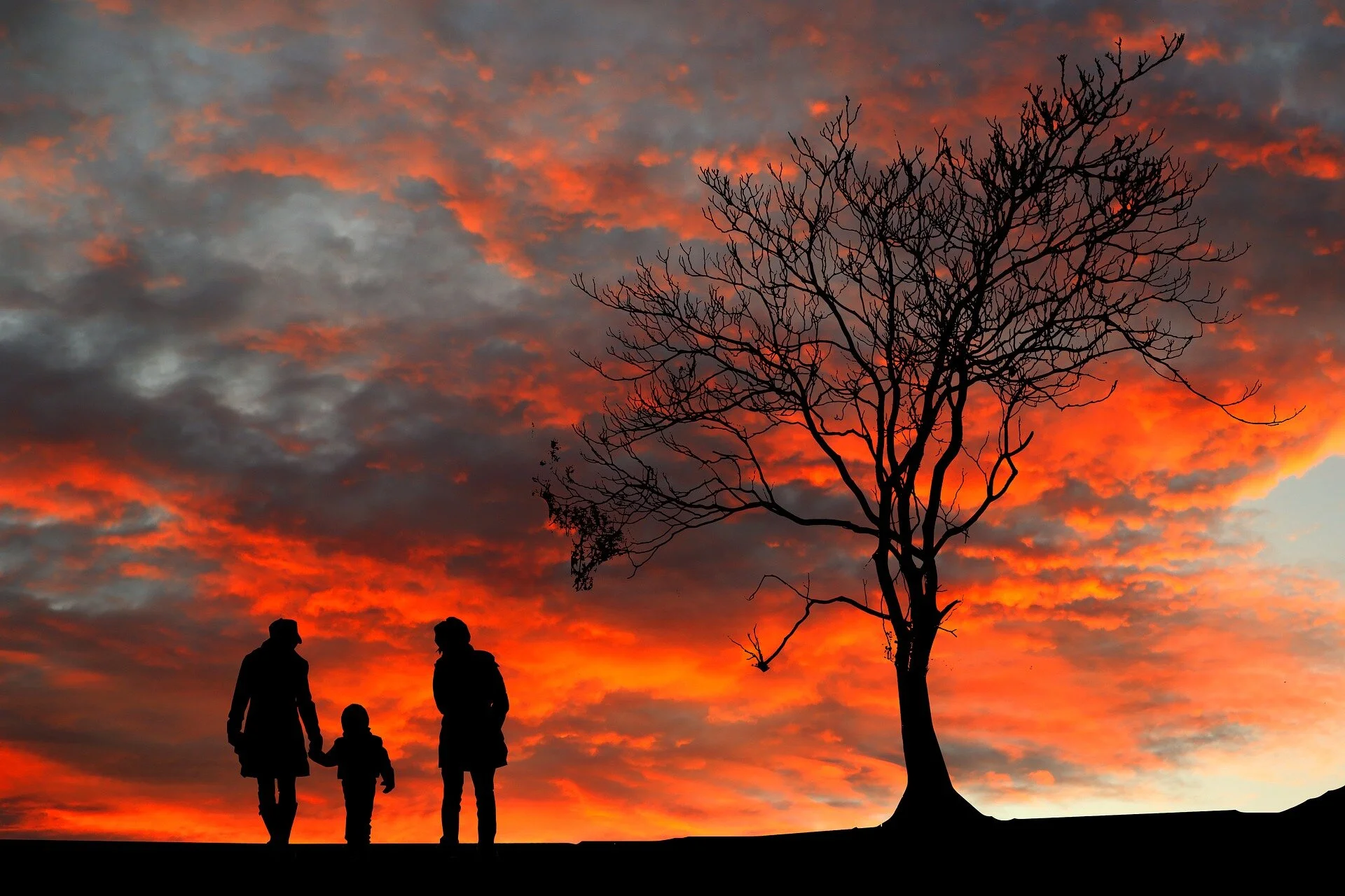 sunset-4946446_1920.jpg
