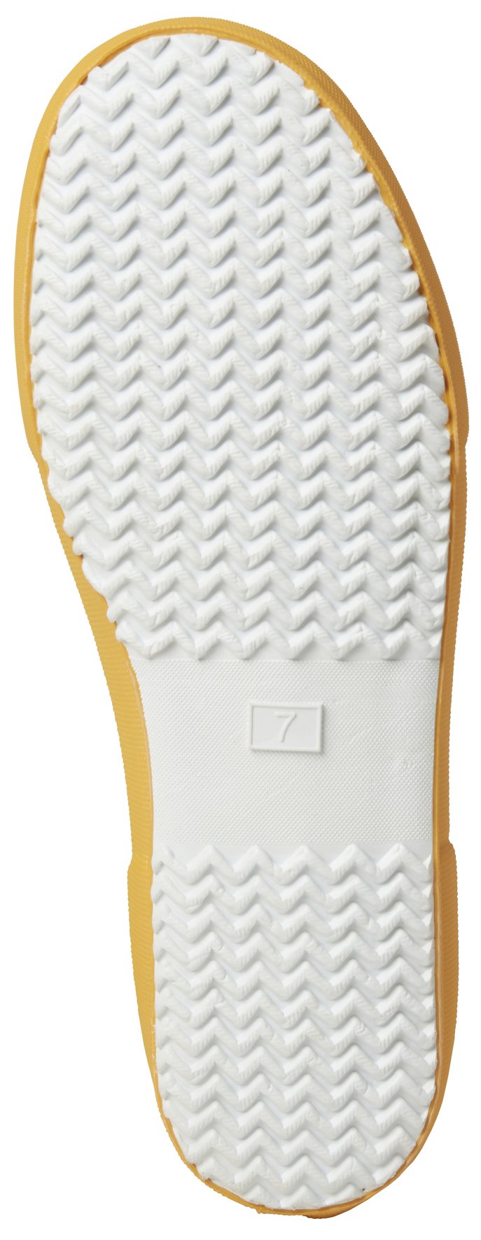 11661_344_sole.jpg