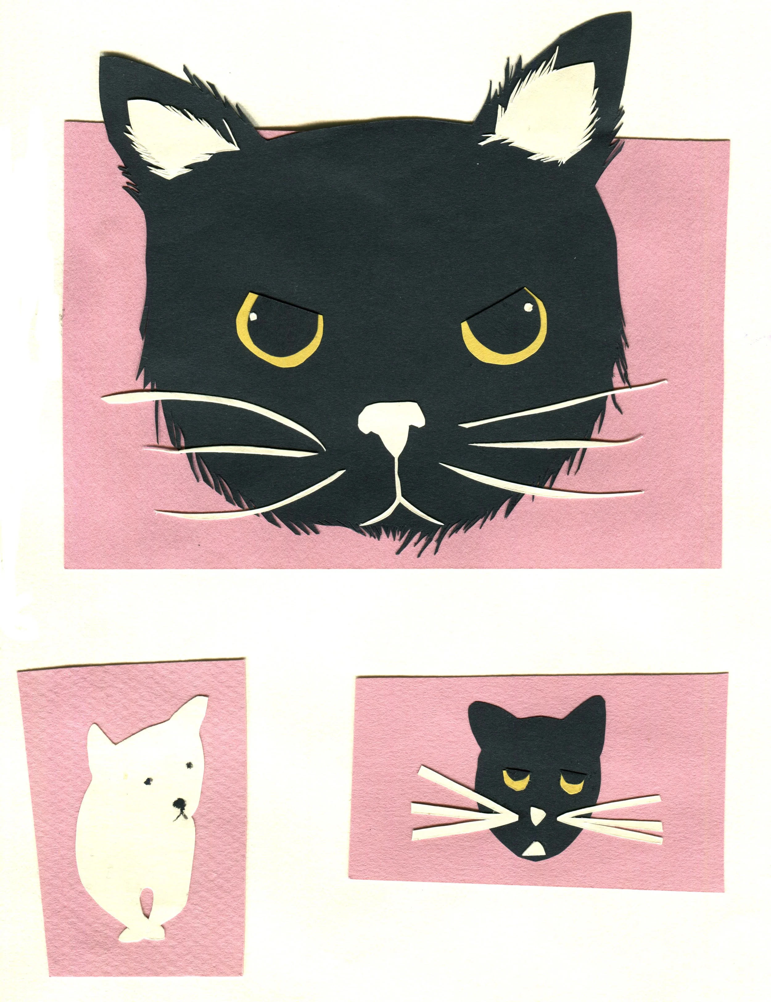 black cat.jpg