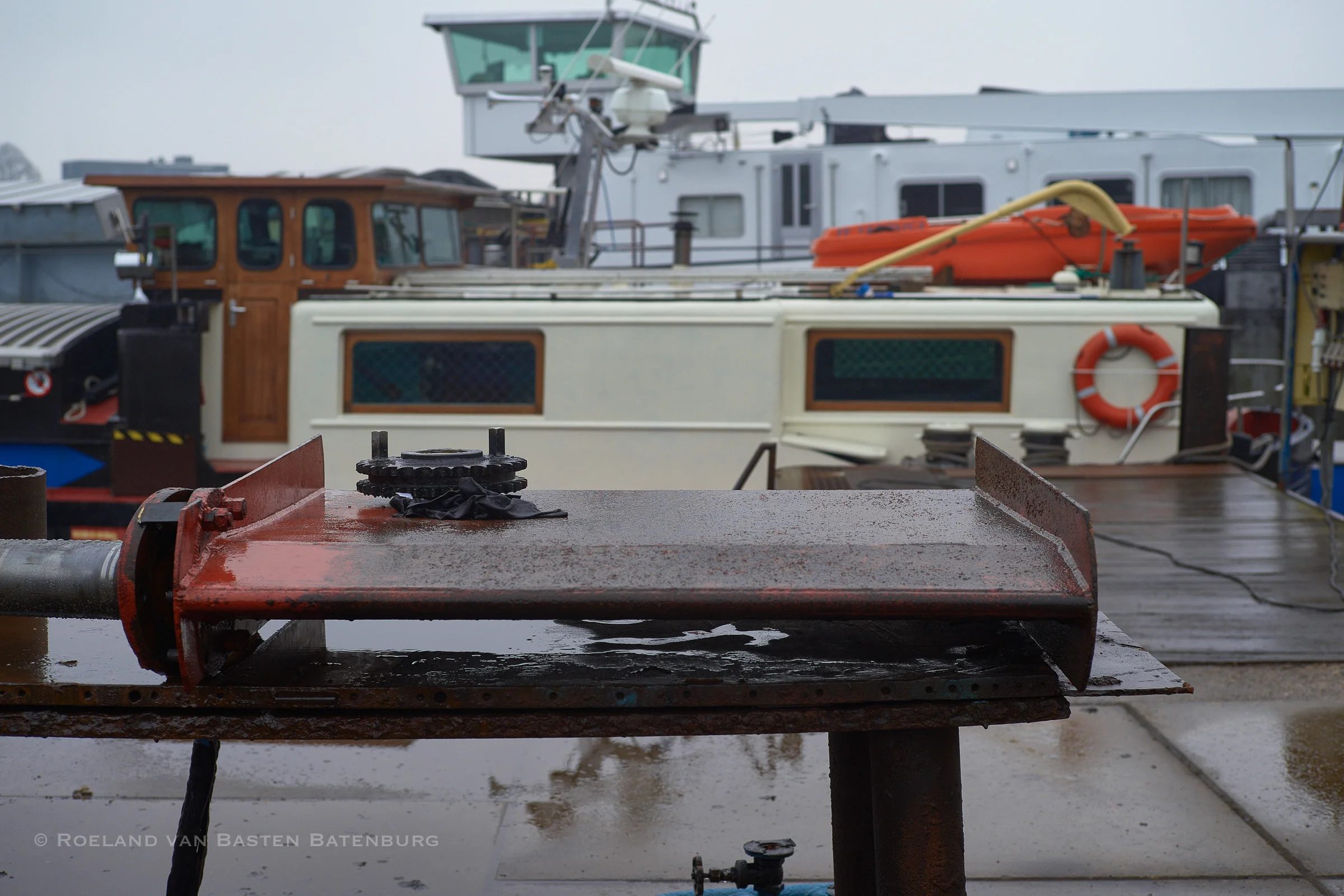 rvbb20190202_4347_one.jpg