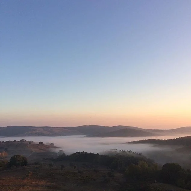 Early morning mist rising from the hills surrounding Borgo La Farneta, near Casole D’Elsa - photo by Paul Hart, October 2017