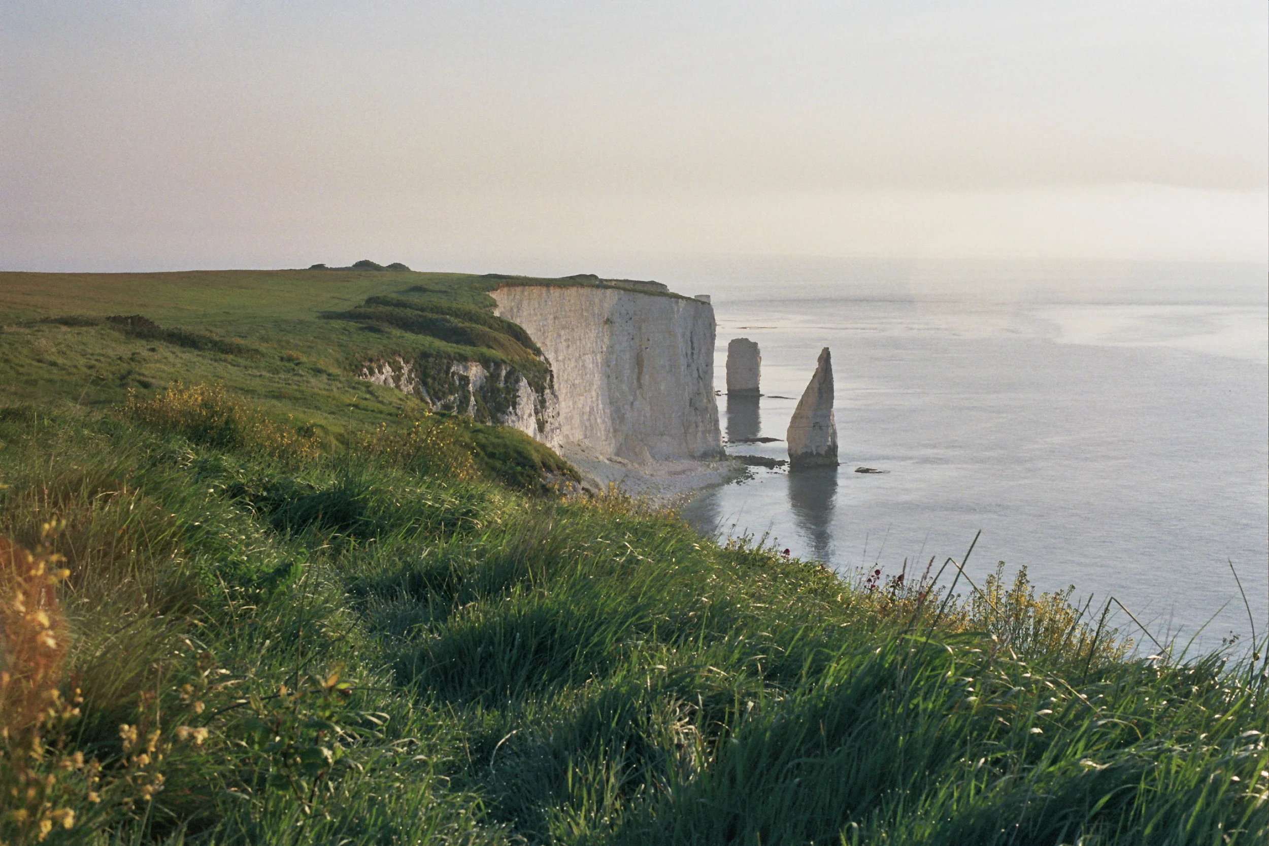 … Old Harry’s Rocks