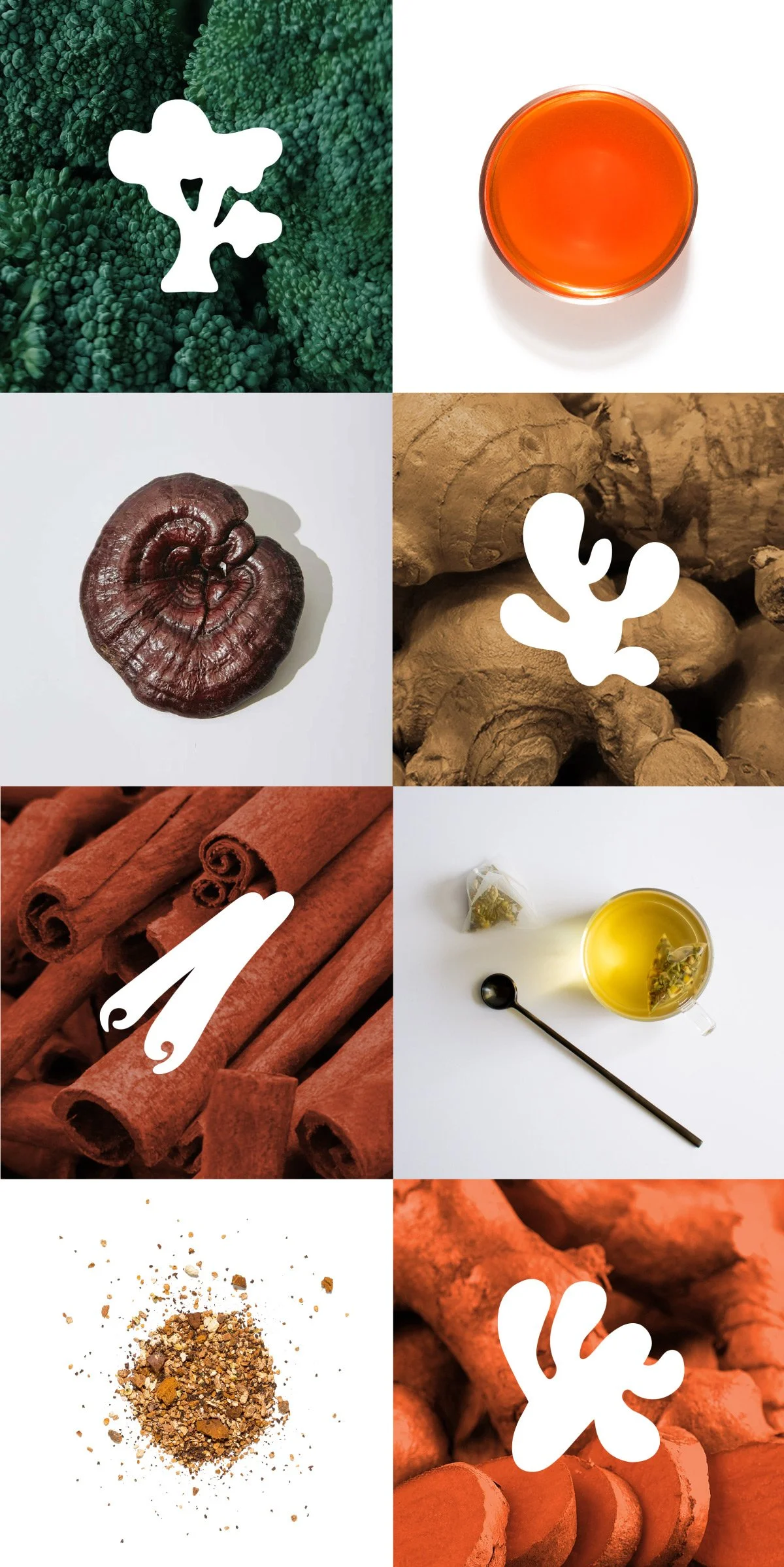 Clover-ingredient-graphics-photos-ss.jpg
