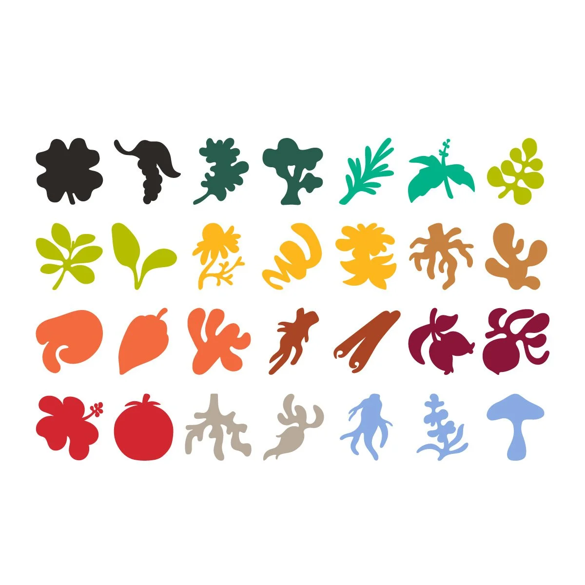 Clover-ingredient-illustrations.jpg
