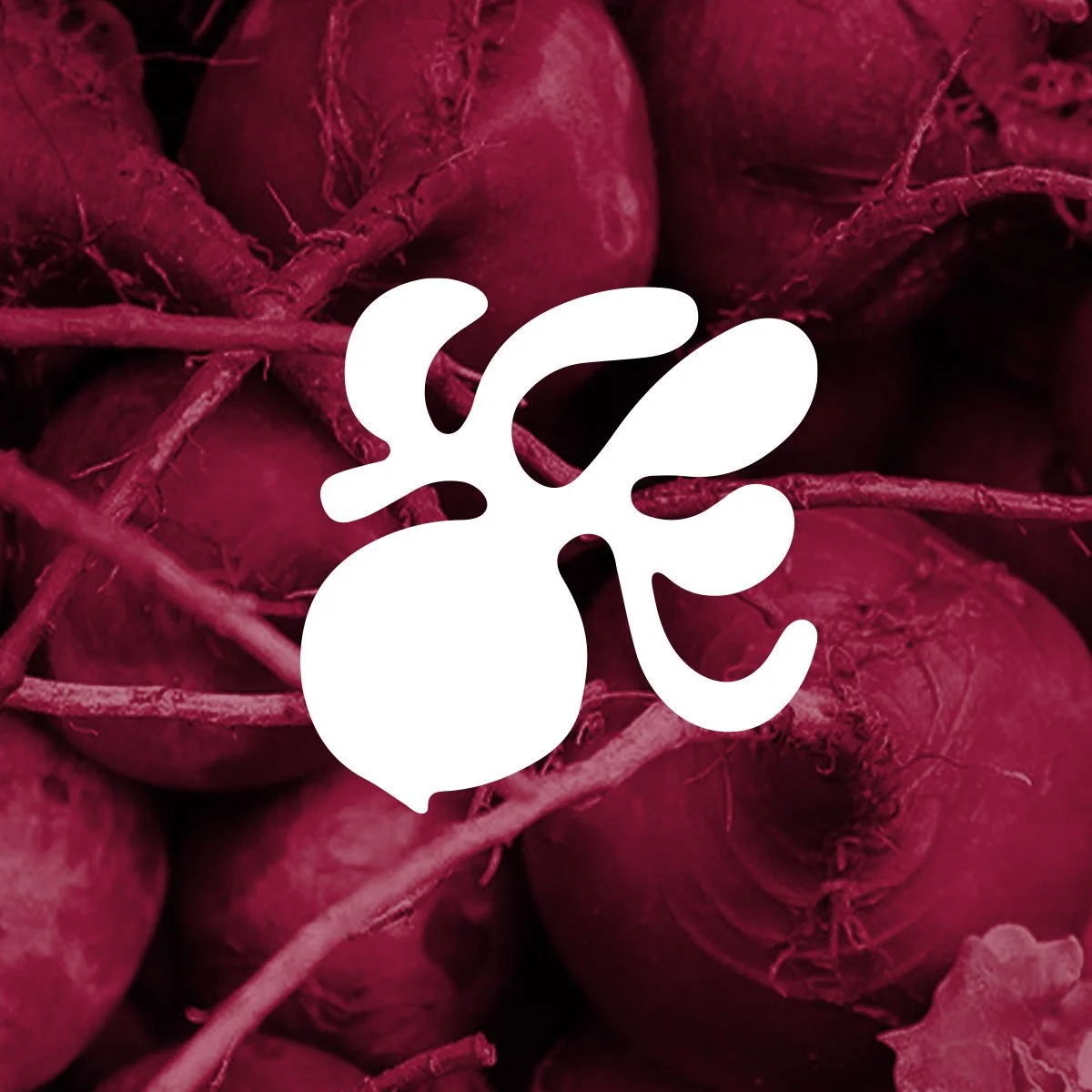 Clover-beet.jpg