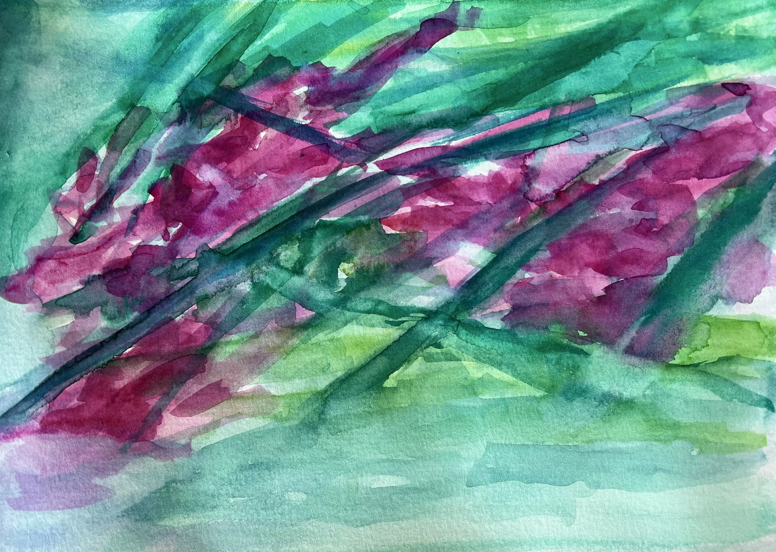 In the light of the Mediterranean - N°7/9