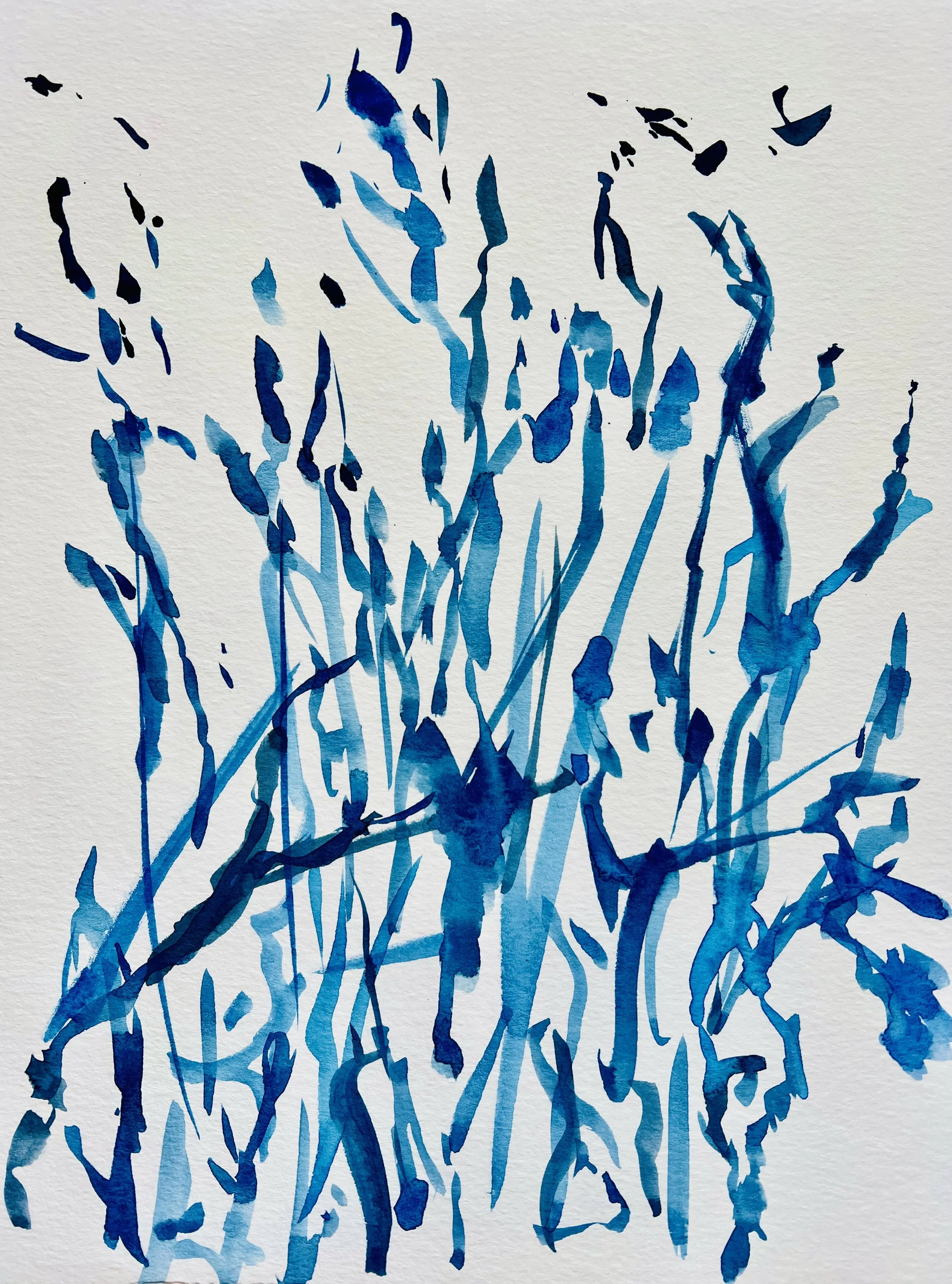 In the light of the Mediterranean - N°9/9