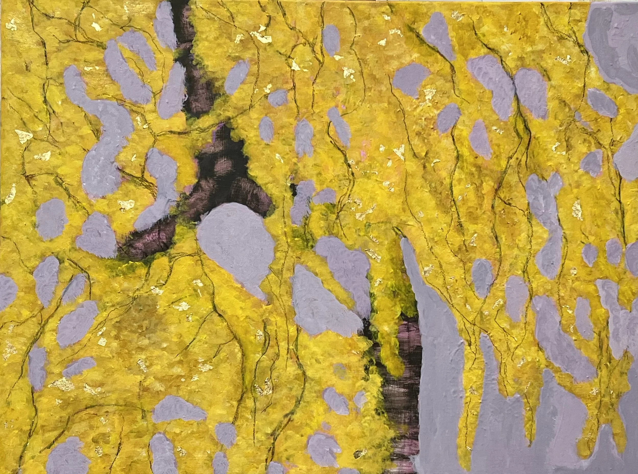 Gingko Biloba N°1