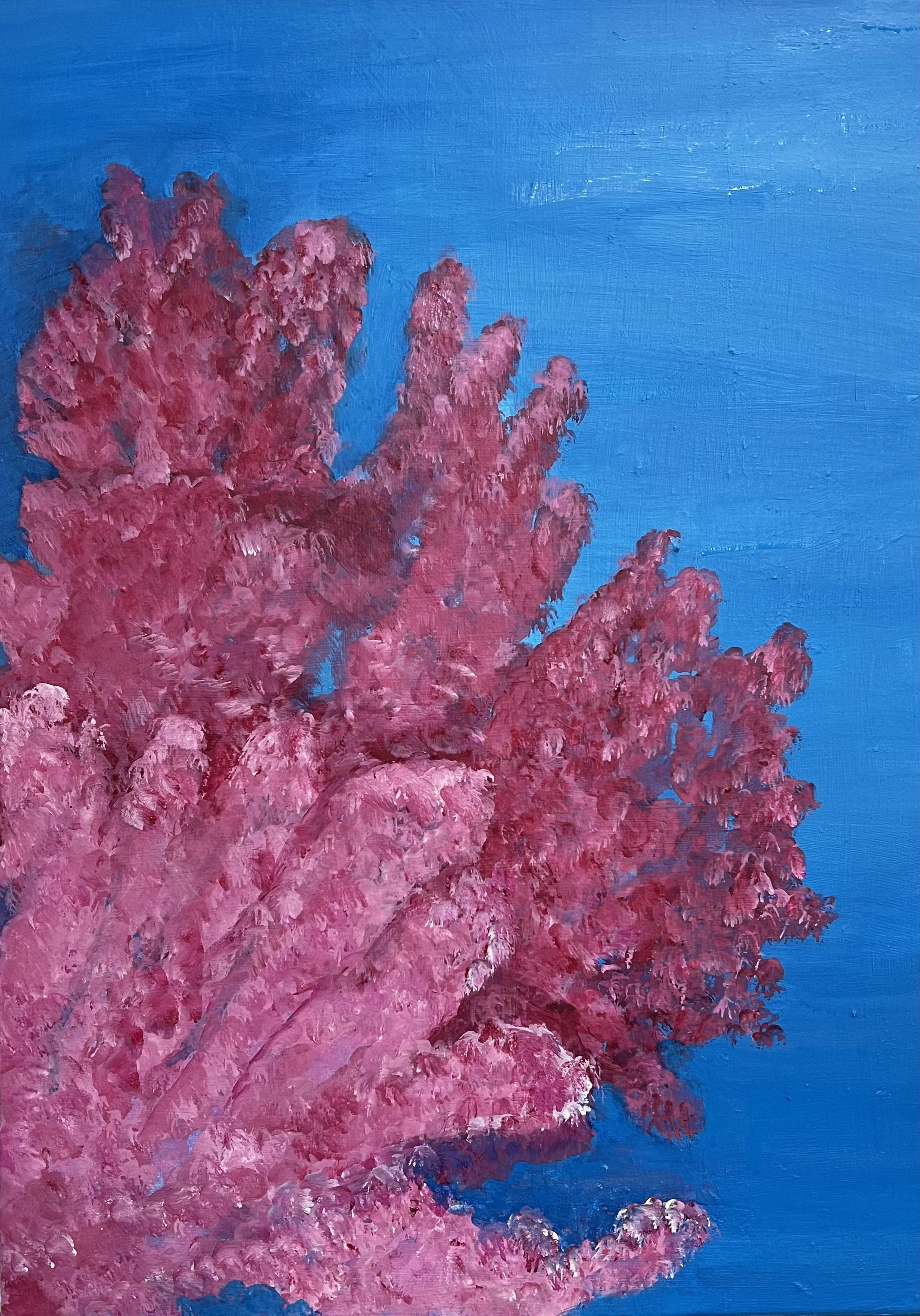 Fleurs aquatiques n°2
