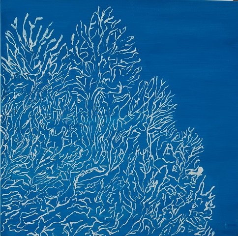 Fleurs aquatiques N°4
