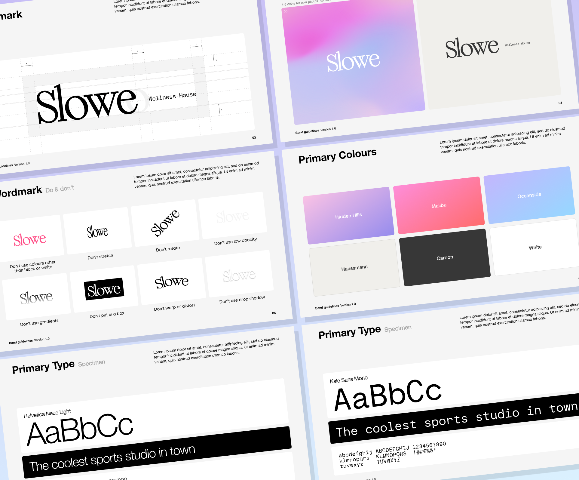 SLOWE_03.png