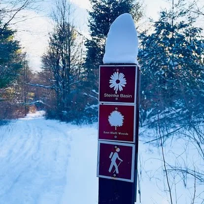 First Day Hike