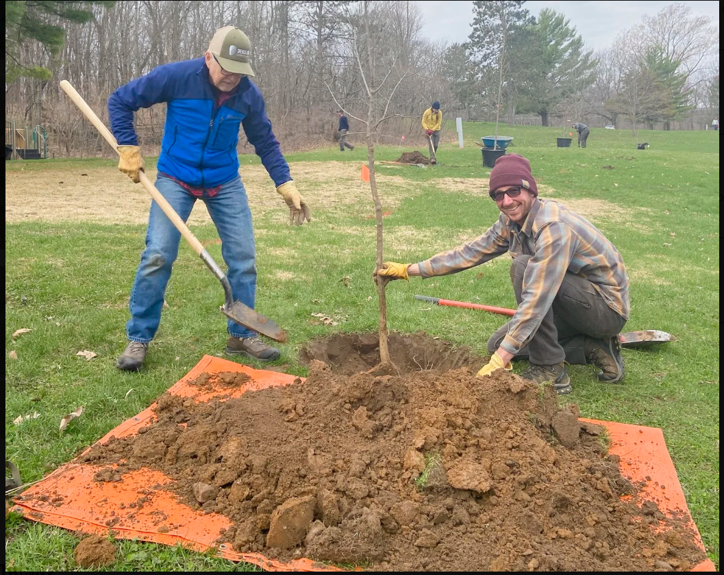 Arbor Day Tree Planting
