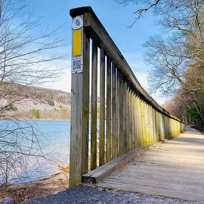 IAT South shore boardwalk.jpg