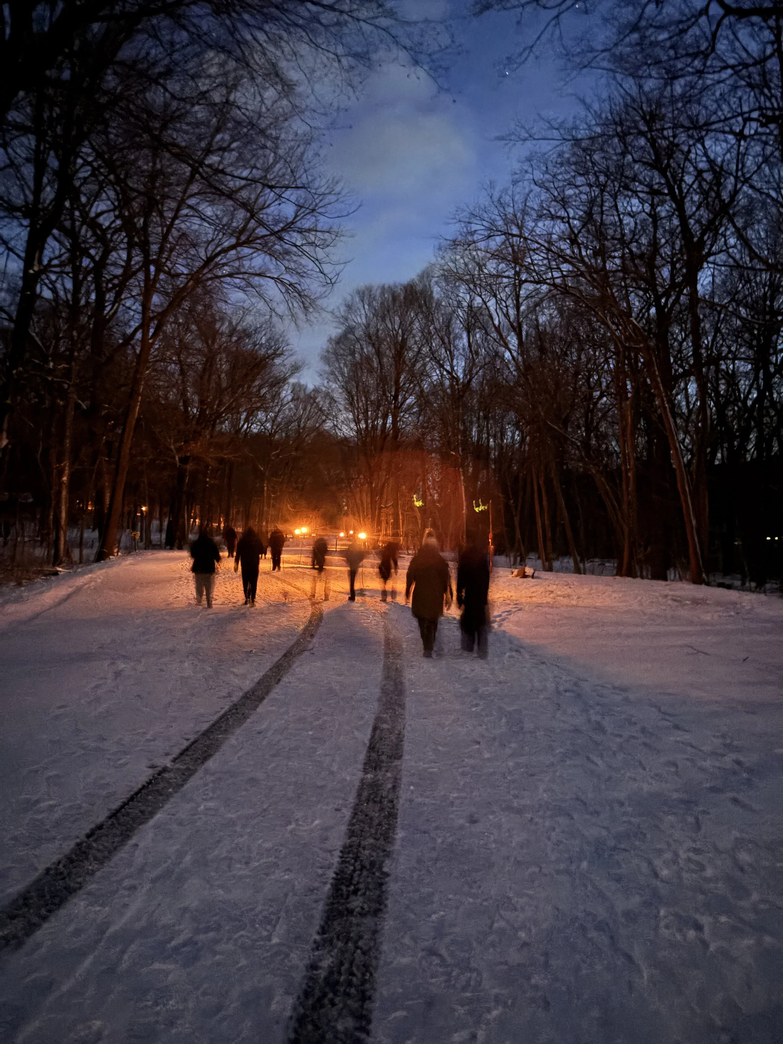 Torchlit Hike