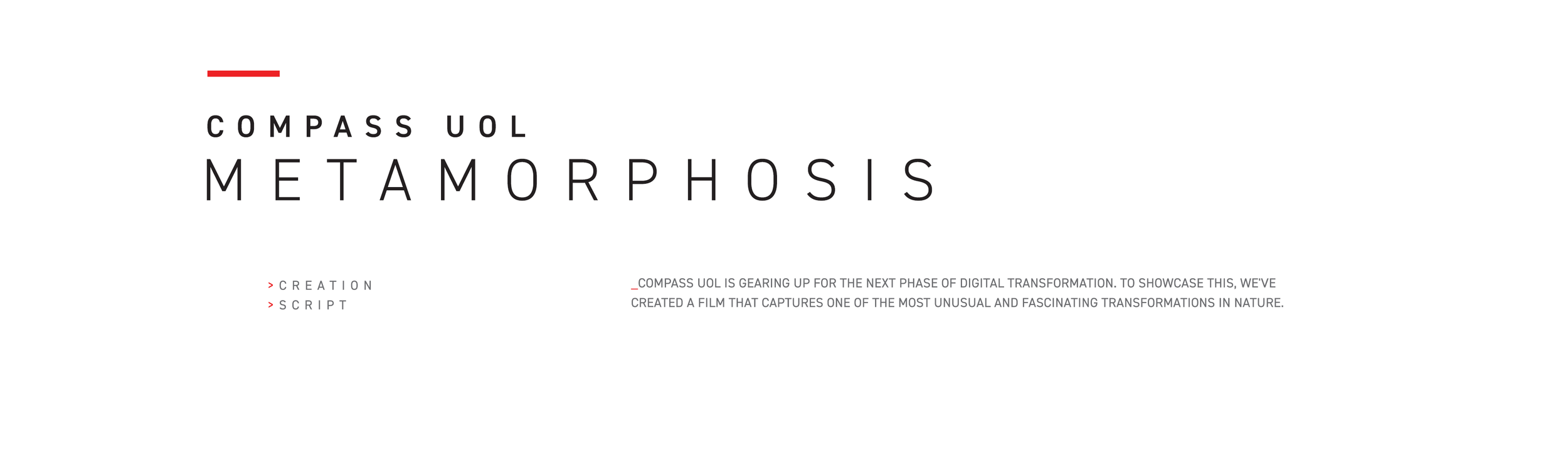 Header_03.png