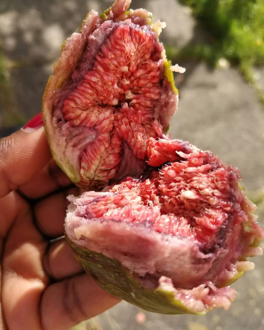 Fruit Friday...Figs from a neighbour, when you grow your own you become part of a generous wider community. Food sharing/swap is a fantastic way to enjoy produce you do not grow in your garde or share with those without growing spaces.
Since starting