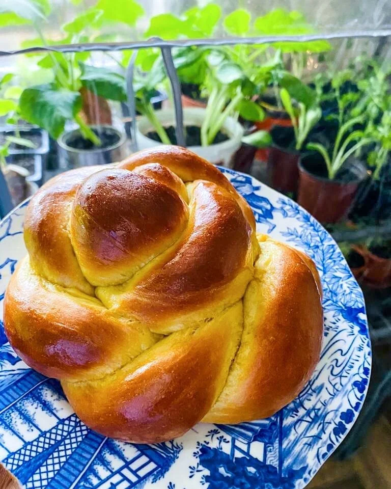 Mabhanzi with an Orange glaze...Golden Twist Bun. Mother's day afternoon tea.  I baked an all time family favourite and enjoyed them with a cup of rooibos.  The golden colour is achieved by using a small amount of turmeric, in powder form or fresh ro