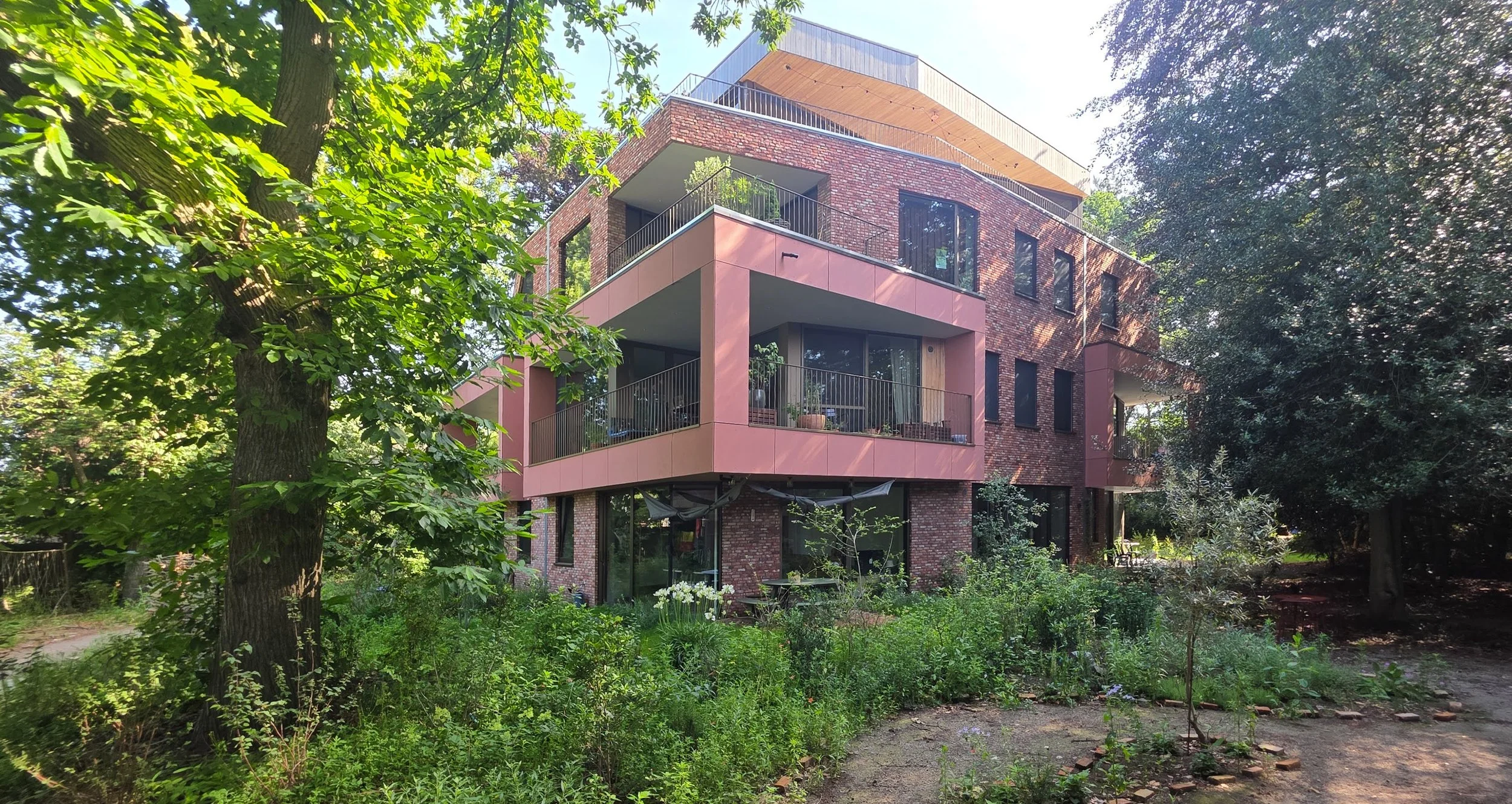 20260626_101453.jpg