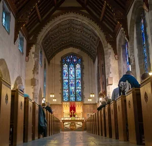 Nave from floor.webp