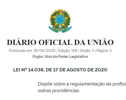 O Nascimento do Historiador Profissional no Brasil