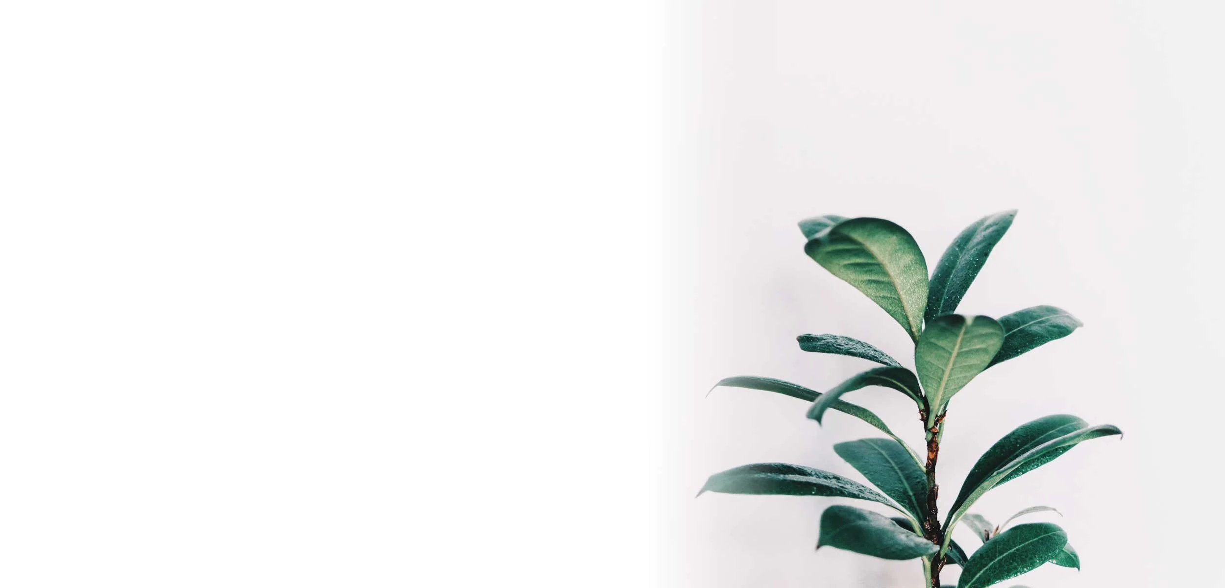 cbt-online-banner-cbttoolkit-1.jpg