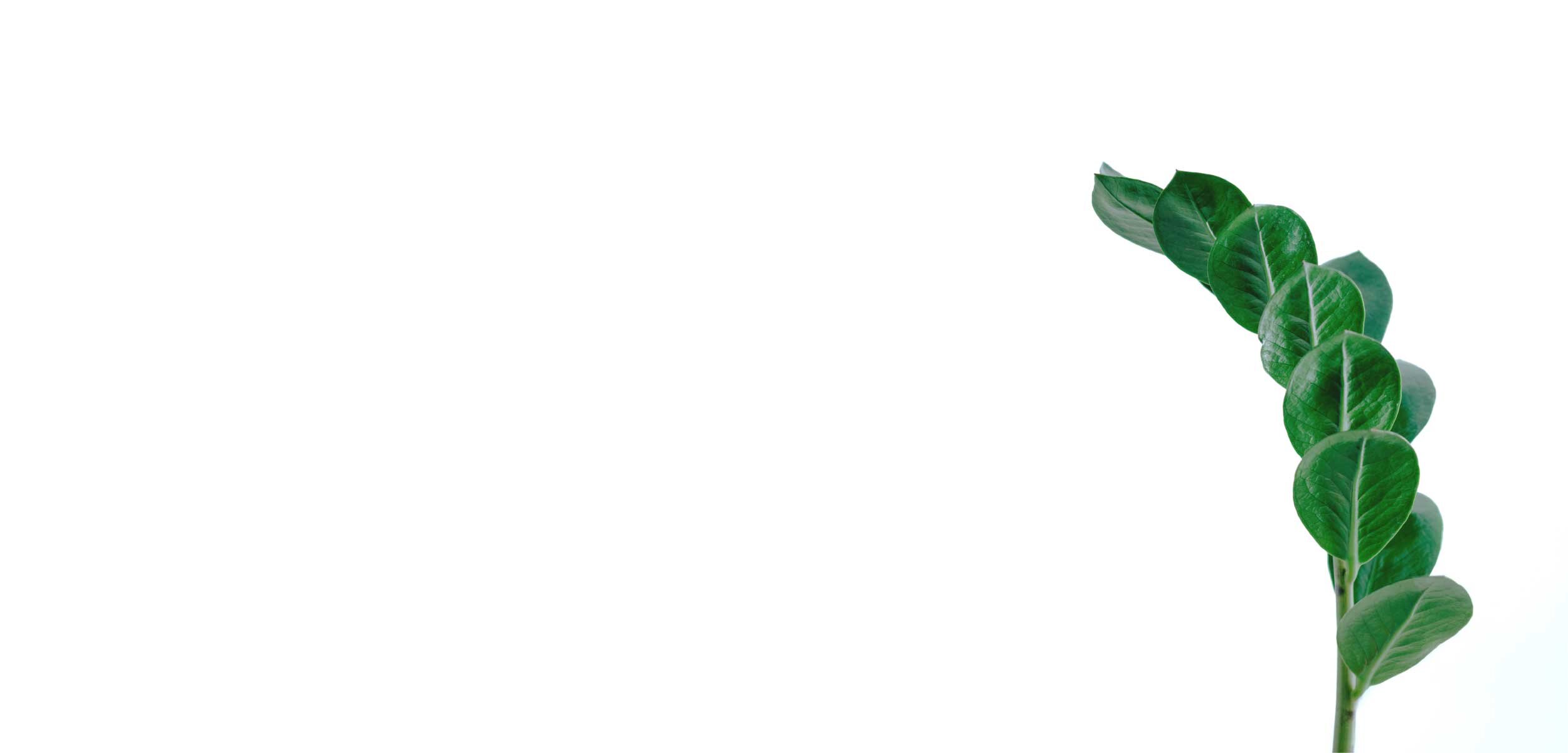 cbt-online-banner-whatweoffertherapists-1.jpg